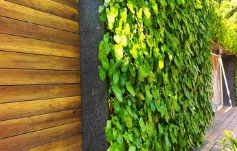 Landscape Chennai 40