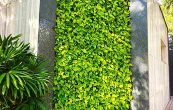 Landscape Chennai 41