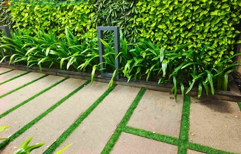 Landscape Chennai 42