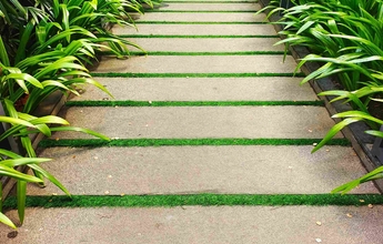 Landscape Chennai 43