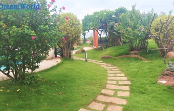 Dream World Landscape 2