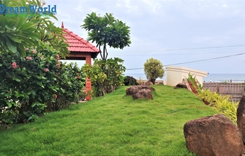 Dream World Landscape 9