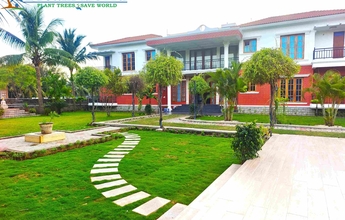 Landscape Chennai 11