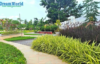 Chennai Landscape 13