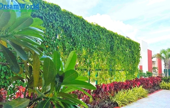 Chennai Landscape 16