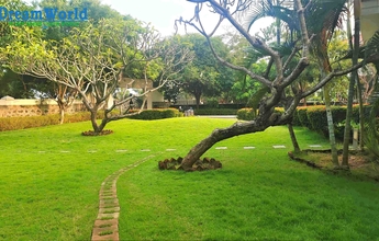 Chennai Landscape 18