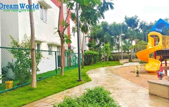 Chennai Landscape 19