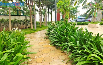 Chennai Landscape 20