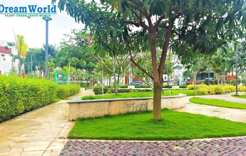 Chennai Landscape 12