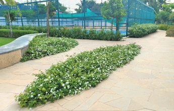 Dream World Landscape 16