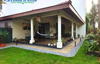 Dream World Landscape 9 Min