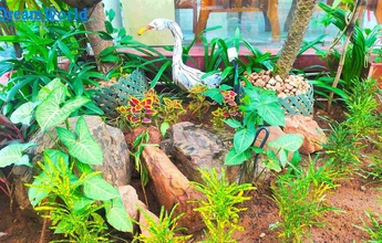 Landscape Chennai 11