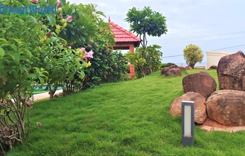 PEBBLE STONE LANDSCAP