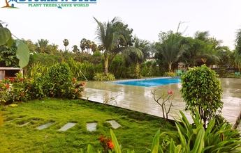 Dream World Landscape 13