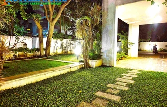 Dream World Landscape 6