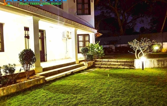 Dream World Landscape 7