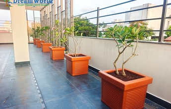 Dream World Landscape 9