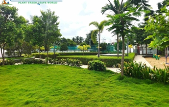 Landscape Chennai 10