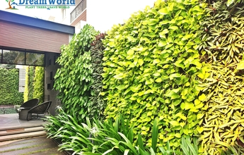 Dream World Landscape 1 Min