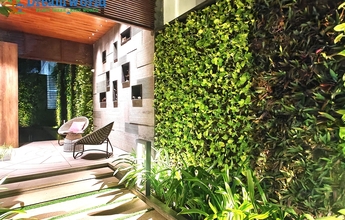 Dream World Landscape 3