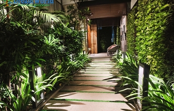 Dream World Landscape 4