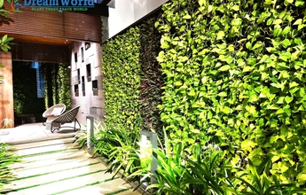 Dream World Landscape 5