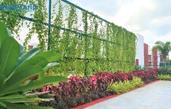 DREAM WORLD LANDSCAPE 13