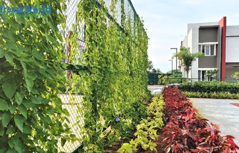 DREAM WORLD LANDSCAPE 3