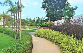 DREAM WORLD LANDSCAPE 4