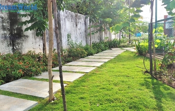 DREAM WORLD LANDSCAPE 7