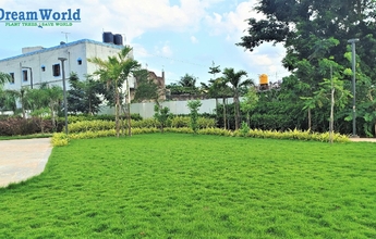 DREAM WORLD LANDSCAPE 8