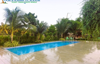 Dream World Landscape 11