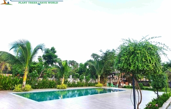 Landscape Chennai 51